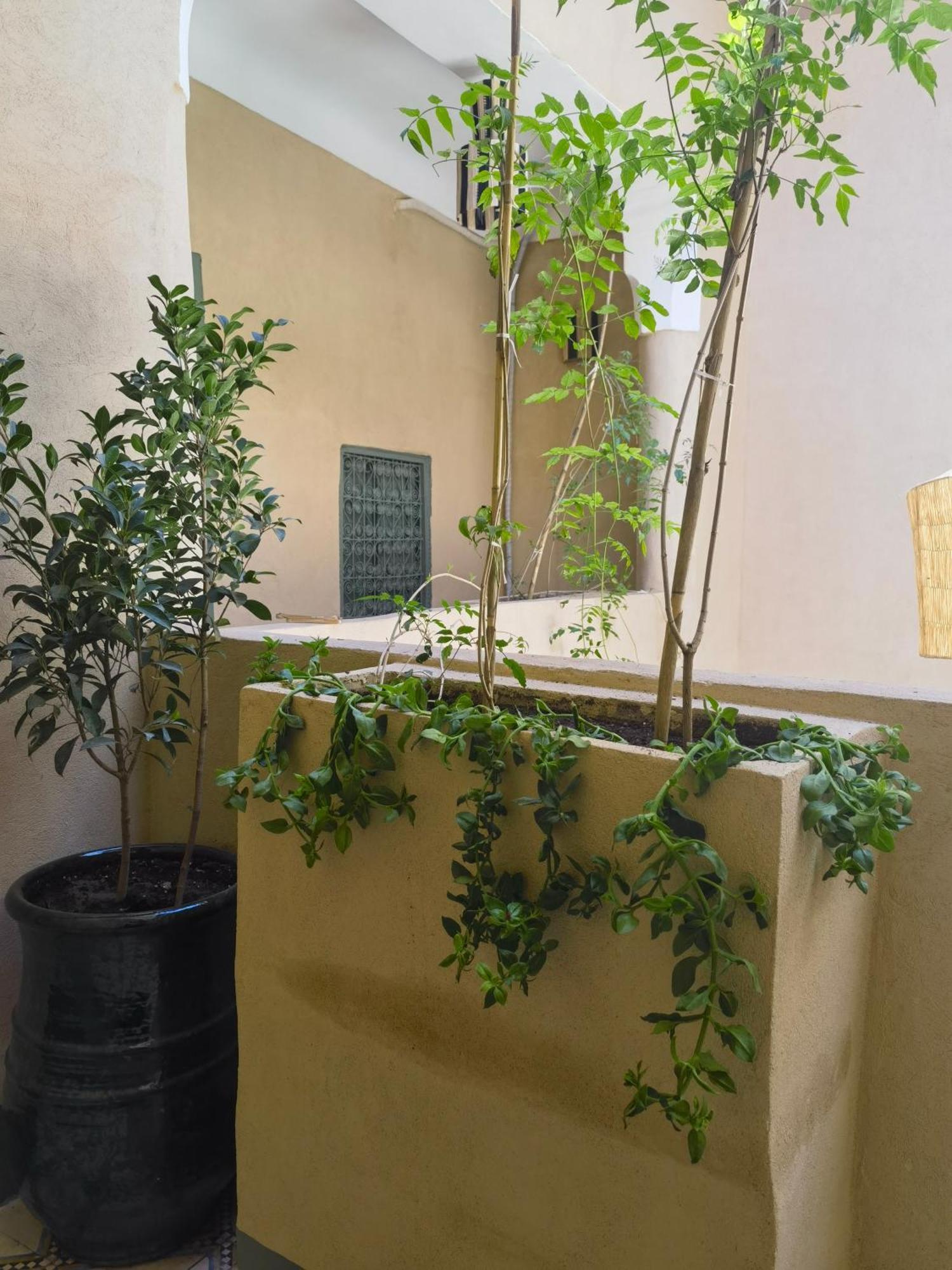 Medina Oasis Hostel Marrakesh Buitenkant foto
